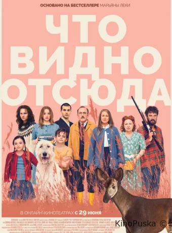 Что видно отсюда