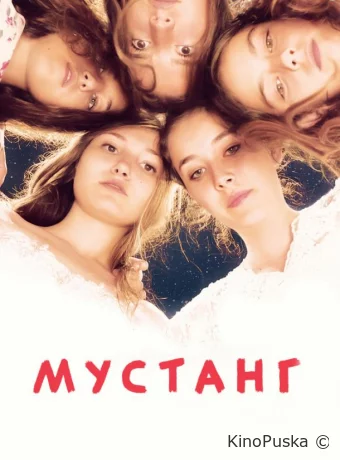 Мустанг