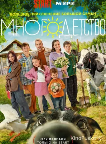 Многодетство