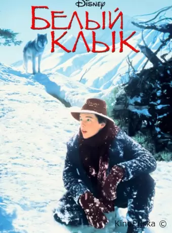 Белый клык