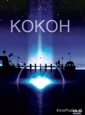 Кокон