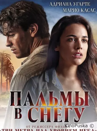 Пальмы в снегу