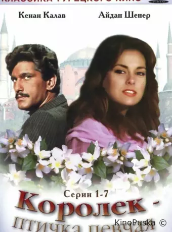Королёк – птичка певчая