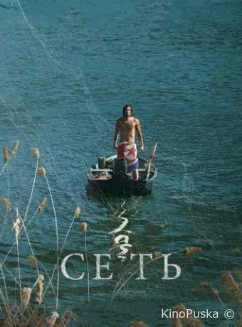 Сеть