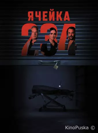 Unit 234