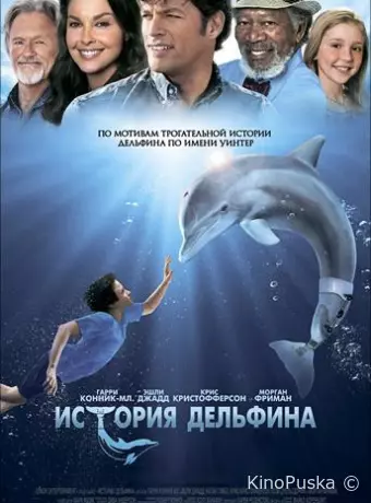 История дельфина